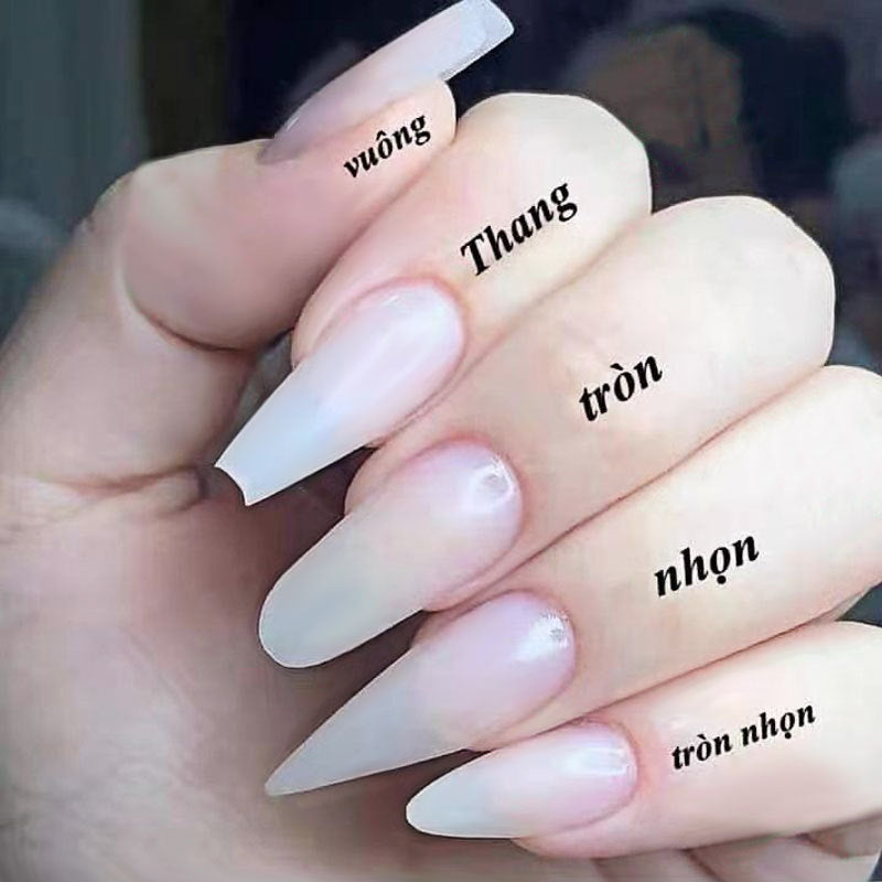 NTOM Nail Tips NTOM020