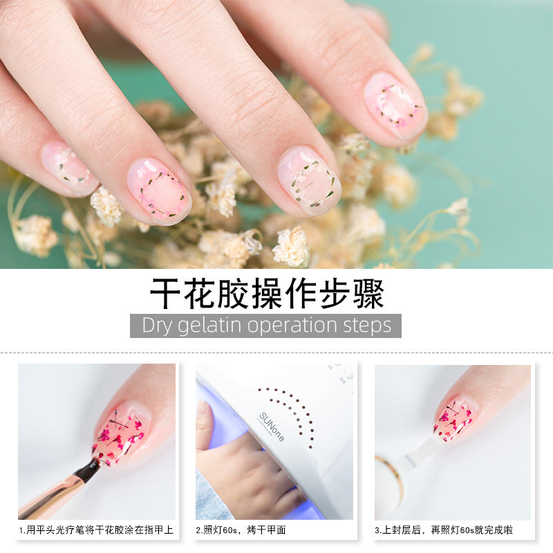 NGMB042 clear crystal, natural plant petals, dried flower nail polish