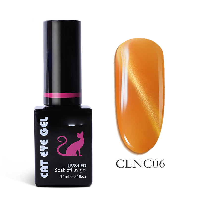 NGMB031 Removable 3D Bright Cat Eye Nail Polish