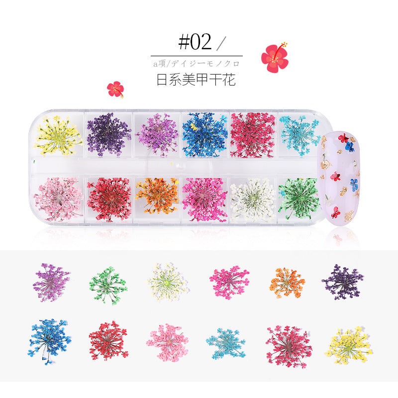 Nail Stickers NS006